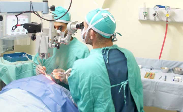 Gıda Paketi Dağıtımı